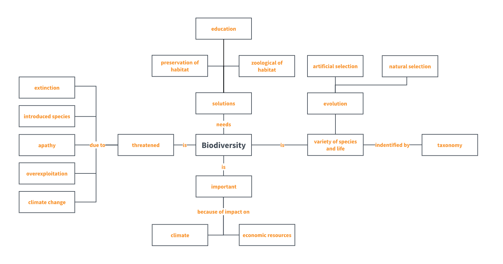 Biology Concept Map Template