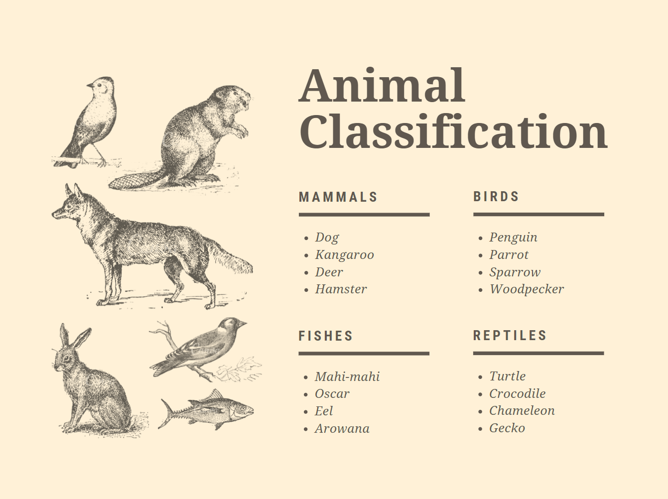 Cream Animals Concept Map Chart