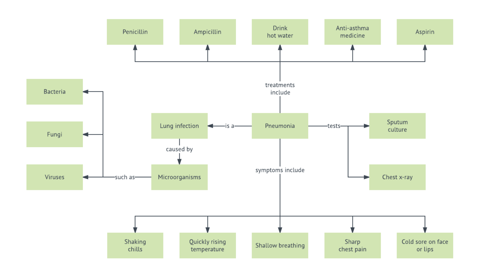 Pneumonia Concept Map Template