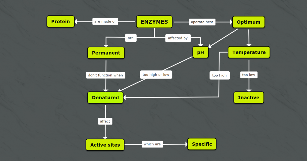 mindmoro enzymes