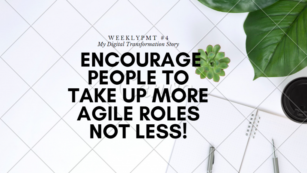 agile team roles