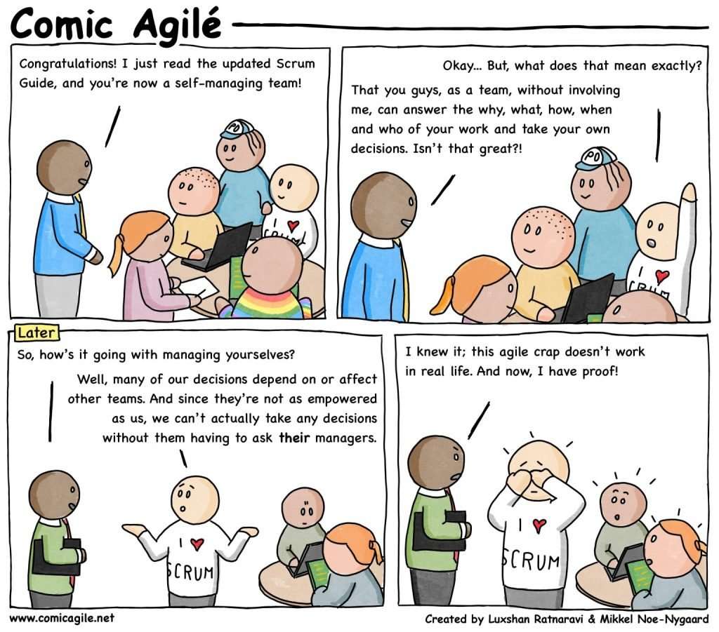 Agile teams are self-organizing teams