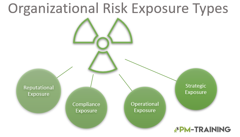 Organizational Risk Exposure Types