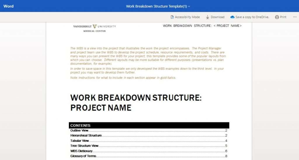 Vanderbilt University WBS Structure