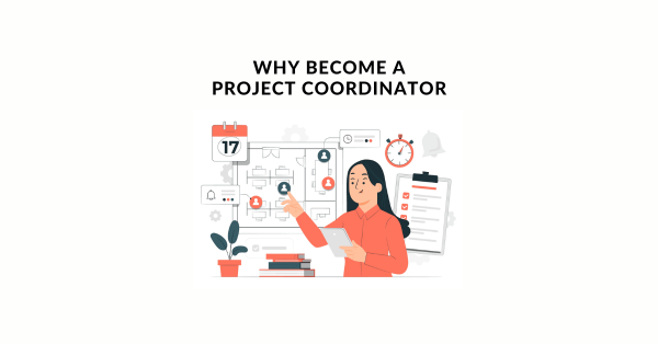 project coordinator stats