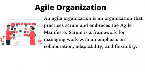 Agile Organization