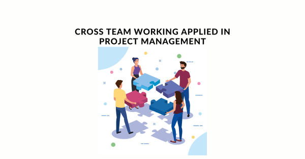 Cross Team Working Applied in Project Management