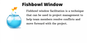 Fishbowl window