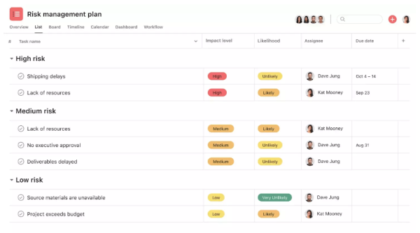 Risk Management Online Tool - Asana