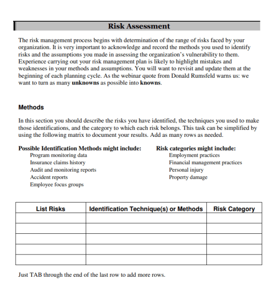 Risk Management Template - PDF 4