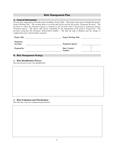 Risk Management Template - PDF 8