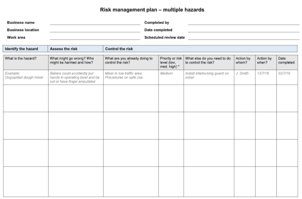 Risk Management Template - Word 3