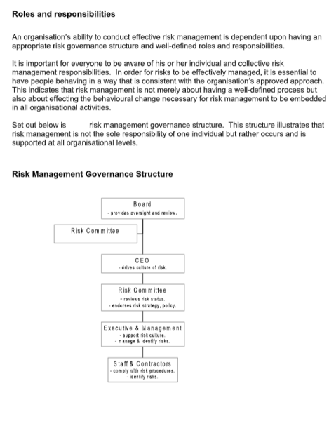 Risk Management Template - Word 8