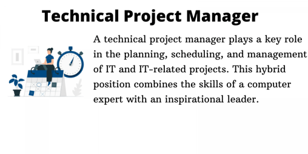 Technical Project Manager