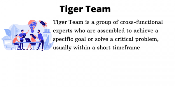 Tiger Team