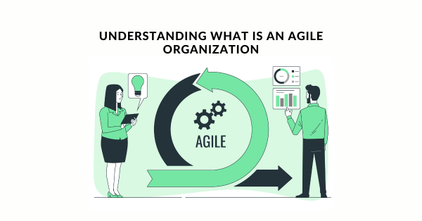 Understanding What Is An Agile Organization