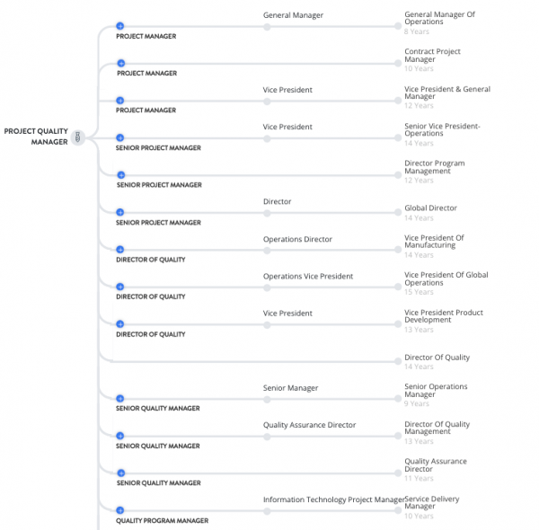 Quality Project manager career path