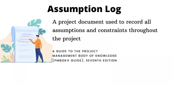 Assumption Log