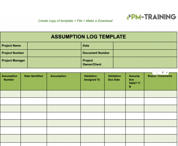 Assumption log template