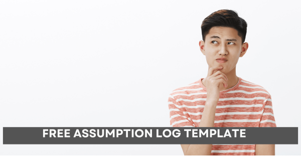 Free Assumption Log Template