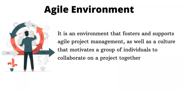 Agile Environment