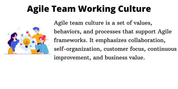 Agile Team Working Culture