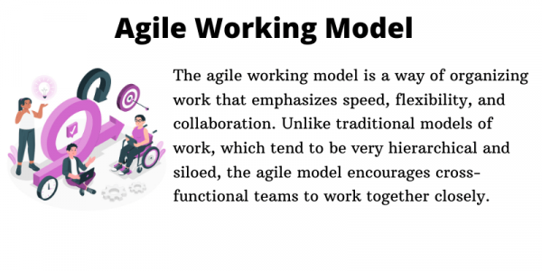 Agile working model