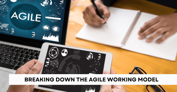 Breaking Down the Agile Working Model 1