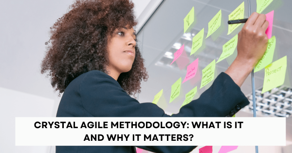 Crystal Agile Methodology What Is It and Why It Matters