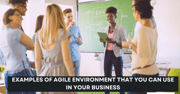 Examples of Agile Environment That You Can Use in Your Business