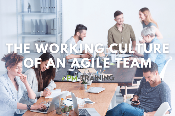 What is Agile Team Working Culture