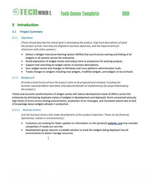 Agile Business Requirements Document Template Word 2