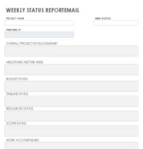 Agile Status Report Template Word 10