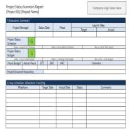 Agile Status Report Template Word 12