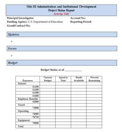 Agile Status Report Template Word 13