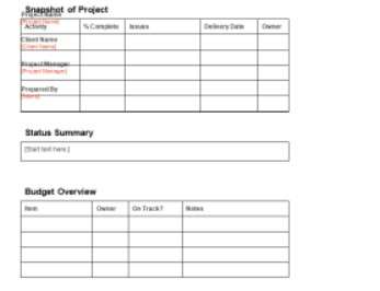 Agile Status Report Template Word 8