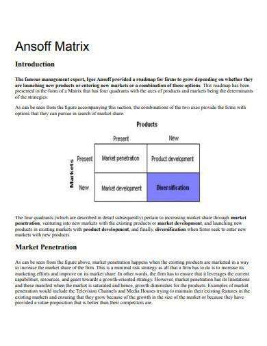 Ansoff Matrix Template - Printable Ansoff Matrix Sample