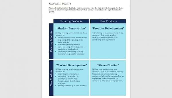 Ansoff Matrix Template Word 1