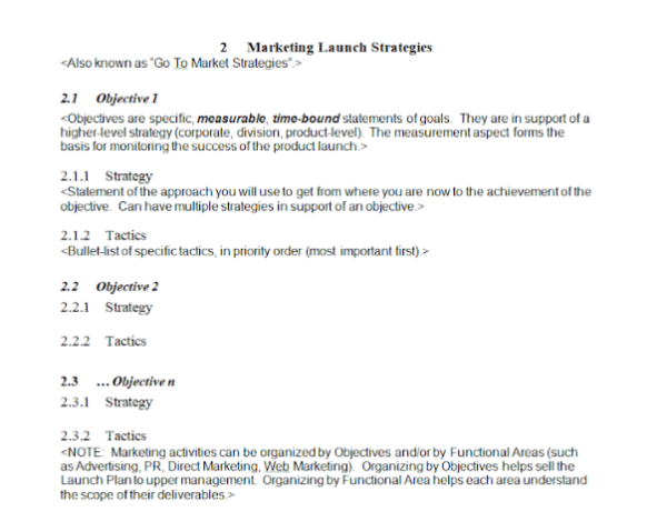 Product Launch Plan Template - Word 4