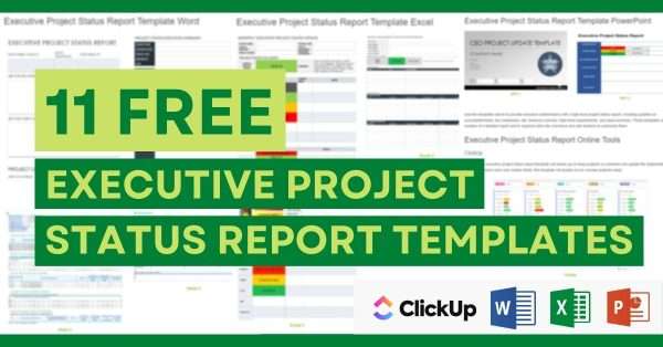 11 X Executive Project Status Report Template