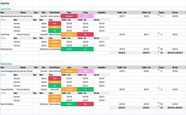 Action Plan Template - Excel 5