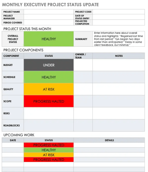 Executive Project Status Report Template - Excel 1