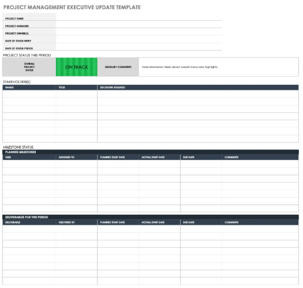 Executive Project Status Report Template - Excel 2