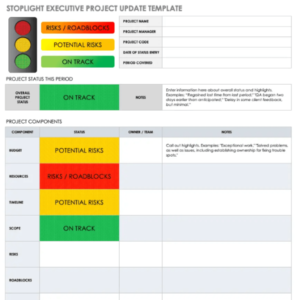 Executive Project Status Report Template - Excel 3