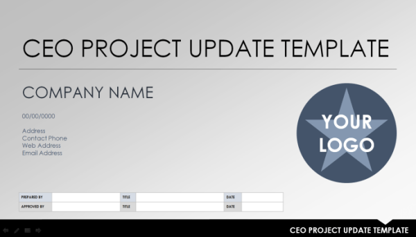 Executive Project Status Report Template - PPT 1