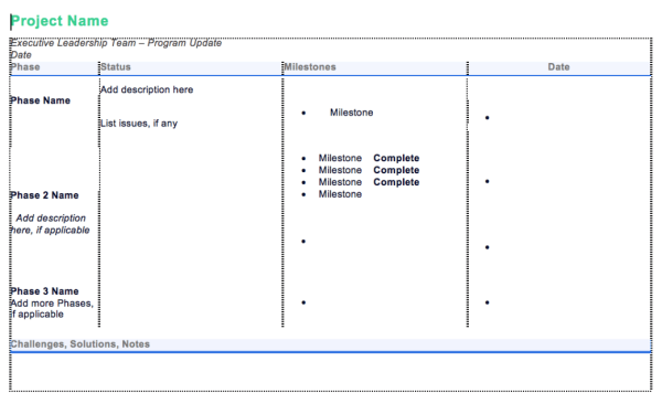 Executive Project Status Report Template - Word 4