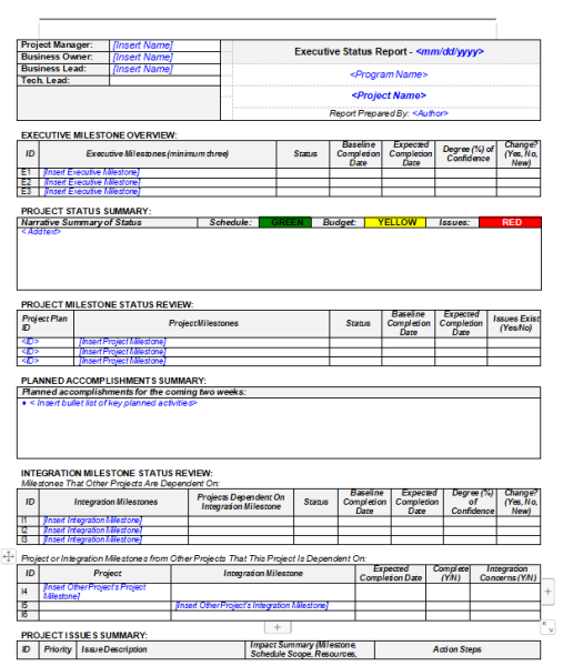 Executive Project Status Report Template - Word 5