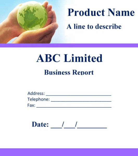 Business Report Template Word 7