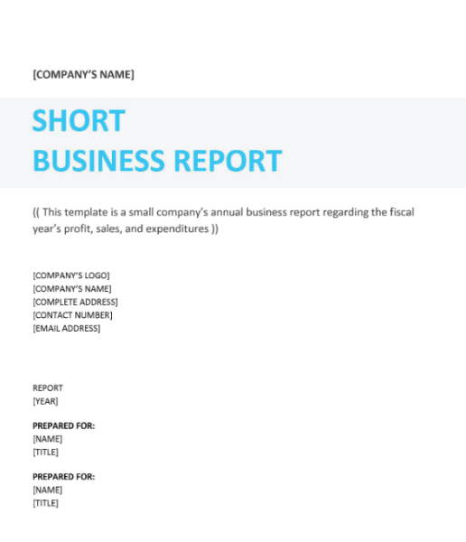 Business Report Template Word 9