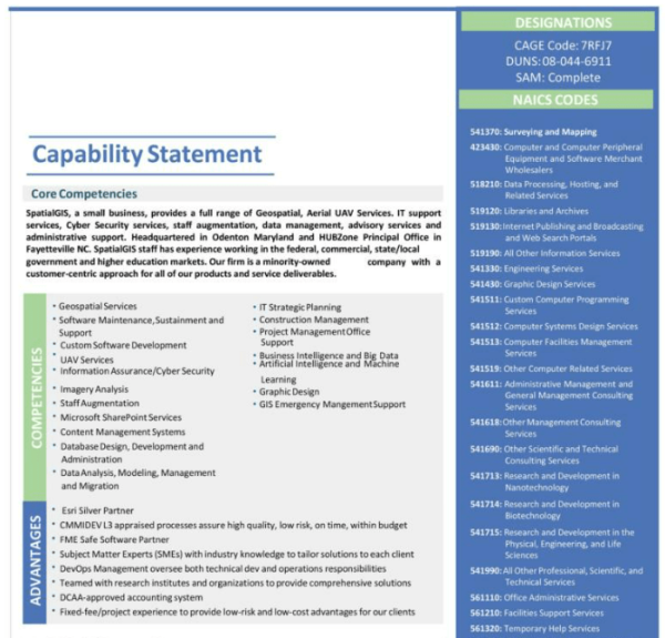 Capability Statement Template Word 24